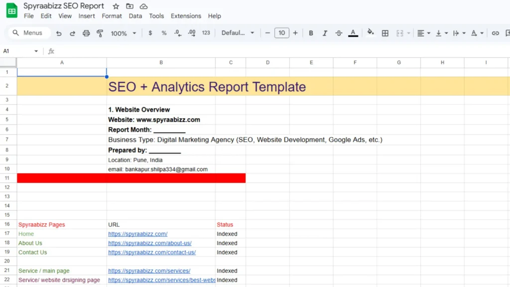 Spyraabizz Report Maintainance